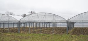 Ferme du Rebond au Cendre : une première étape vers l'autonomie alimentaire locale