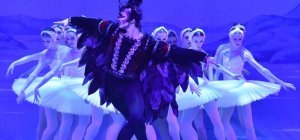 Le lac des cygnes le 6 mars à la Maison de la Culture de Clermont-Ferrand