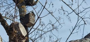 Châtel-Guyon crée des gîtes biodiversité