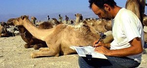 Clermont (et pas que) dessine du 13 au 15 juin