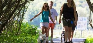 Toutou Sancy : un label qui a du chien 