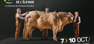 Le Sommet de l'élevage revient du 7 au 10 octobre 
