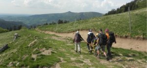 Des artistes auvergnats se mobilisent pour la randonnée inclusive !