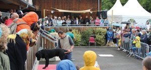 Lezoux : entrez dans l'univers des chiens guides d'aveugles