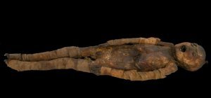 La momie des Martres d'Artière exposée au Musée de l'Homme à Paris