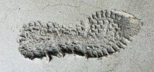 Vols sur chantier : la FFB reçue en Préfecture