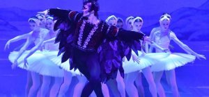 La grâce du Lac des cygnes le 21 février à la Maison de la culture