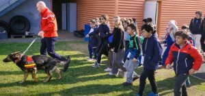 Beaumont : les jeunes élus du Conseil Municipal des Enfants sur tous les fronts