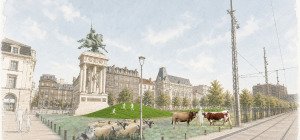 Pâture : début octobre, les prairies du Massif central s'installent place de Jaude