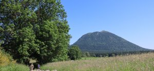 Une transhumance du troupeau mobile de la Chaîne des puys aura lieu le samedi 1er août au puy des Gouttes