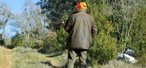 Malgré un été éprouvant pour le gibier et les cultures, la saison de chasse s'annonce bien 