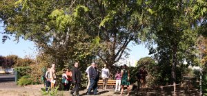 Une journée pour agir sur la biodiversité urbaine : après la canicule, replantons la ville