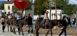 Fête de la Saint-Maurice : Traditions et festivités s'invitent au coeur de Cournon-d'Auvergne