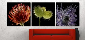 Le design acoustique allie esthétique et confort